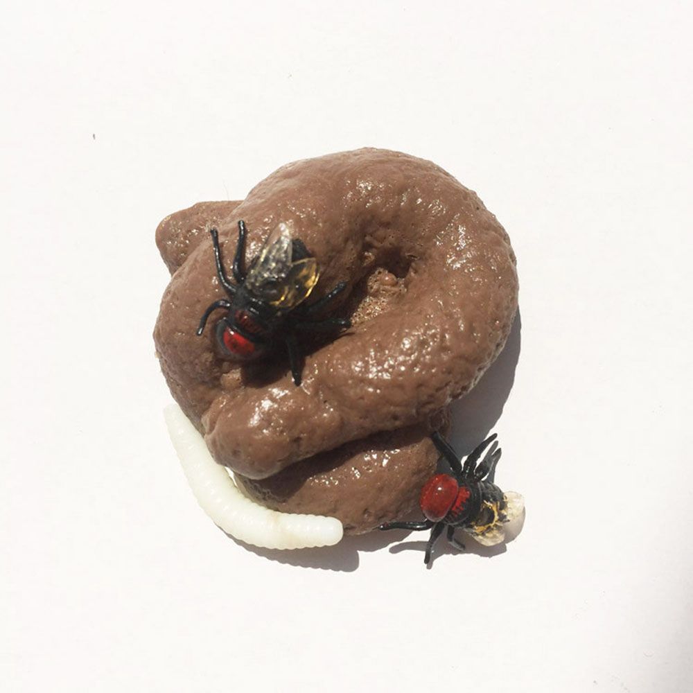 Жарти, реалистичные поддельные – обзор и цена Fake Poop Gag Gift